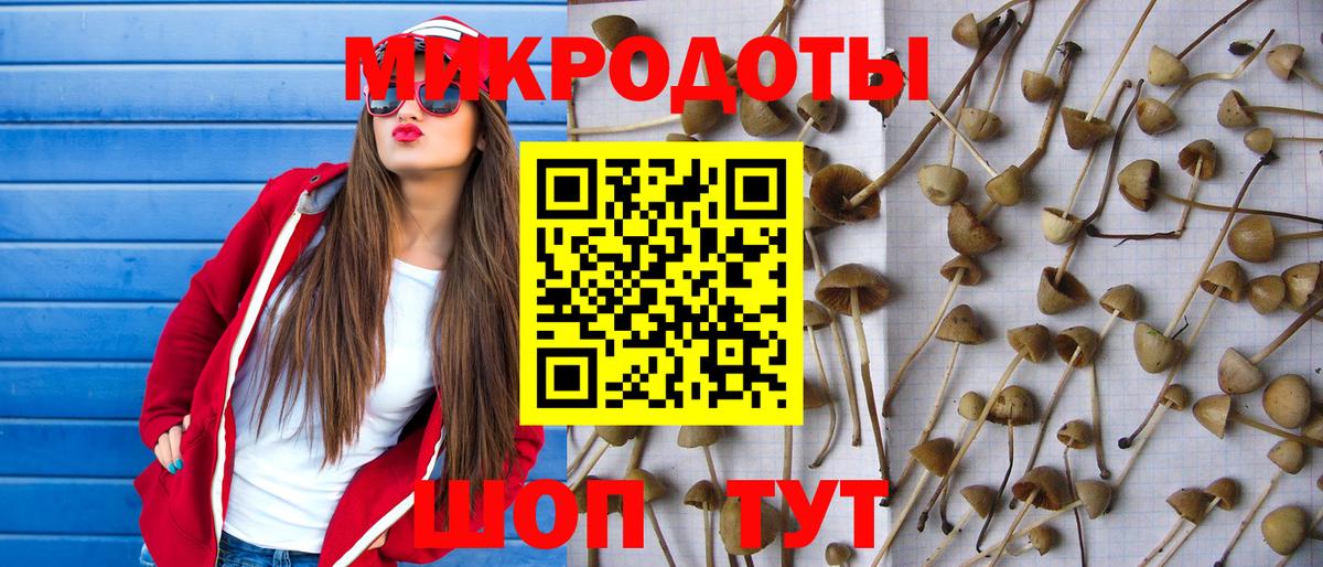 Псилоцибиновые грибы MAGIC MUSHROOMS  Вход с VPN  Галлюциногенные грибы Psilocybine cubensis  Можайск 