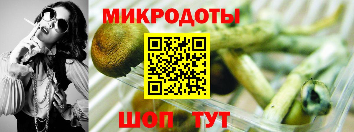 Псилоцибиновые грибы мухоморы Можайск